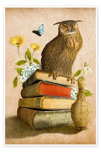 Wise Owl de Diogo Veríssimo