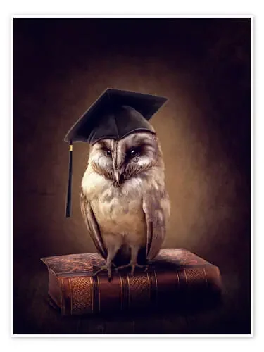 Wise owl de Elena Schweitzer