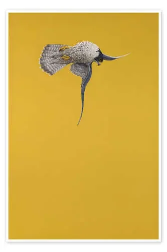 Yellow Stoop de Tim Hayward Bridgeman Images