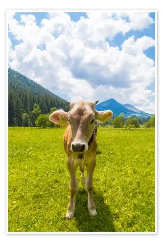 Young Calf de Michael Helmer