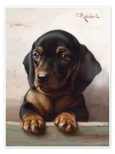 Young dachshund de Carl Reichert Master Collection