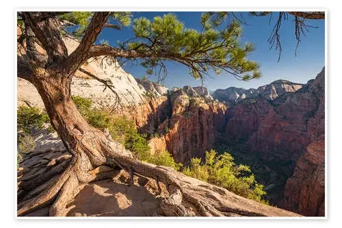 Zion National Park, Utah, USA de Markus Ulrich