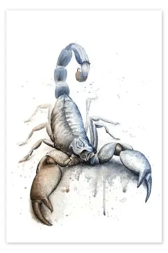 Zodiac sign Scorpio de Nadine Conrad